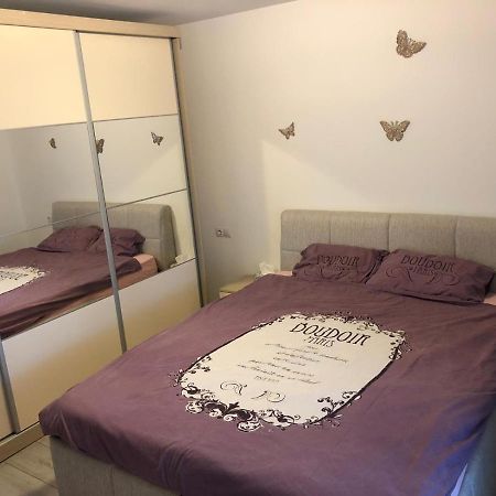 Apartament Modern Targoviste In Regim Hotelier Eksteriør billede