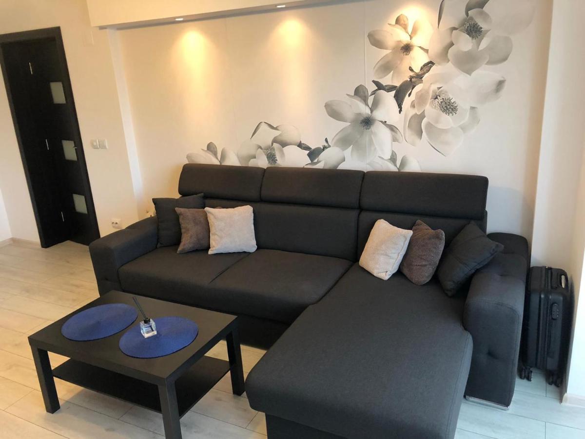 Apartament Modern Targoviste In Regim Hotelier Eksteriør billede