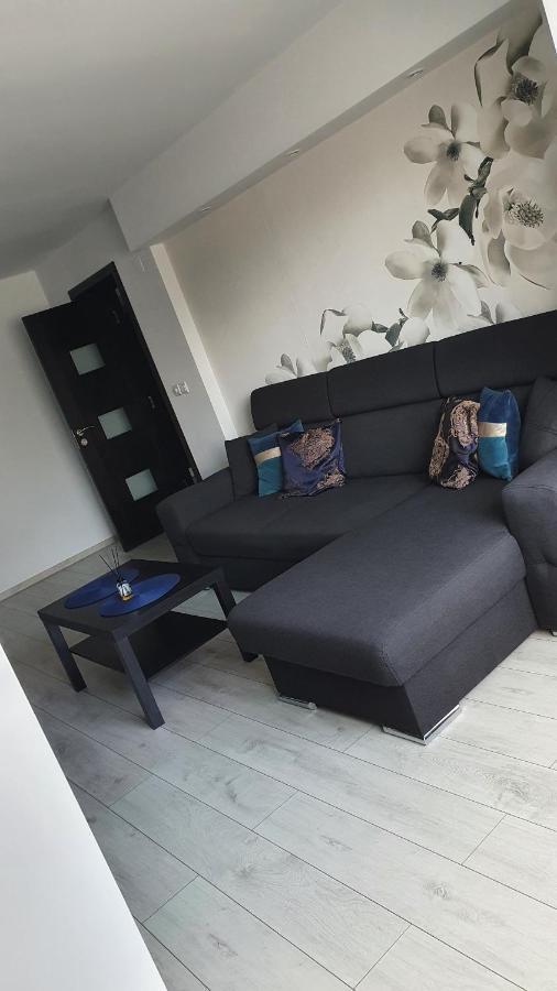 Apartament Modern Targoviste In Regim Hotelier Eksteriør billede
